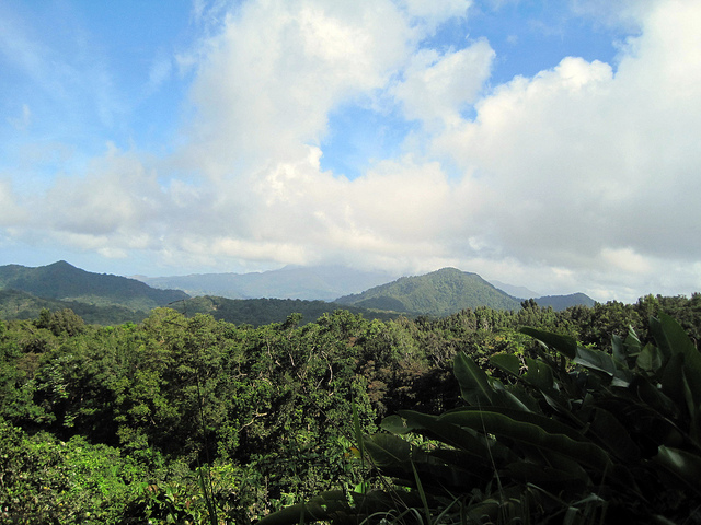 Dominica: the Nature Island