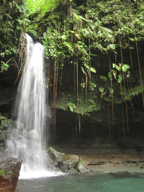 Dominica: Emerald Pool & Trafalgar Falls