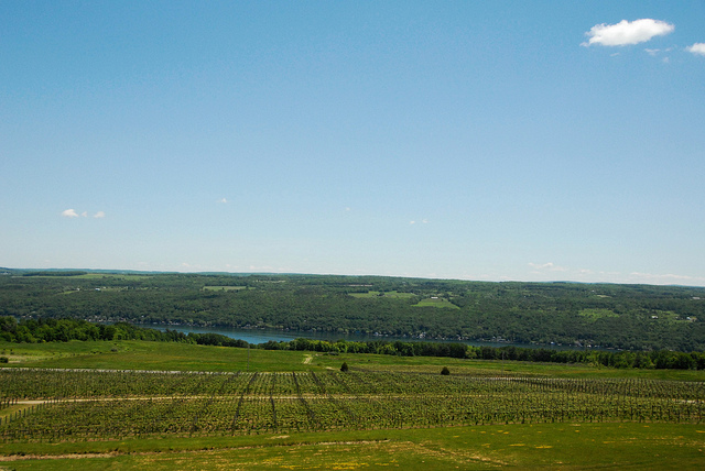Sipping Finger Lakes Wines