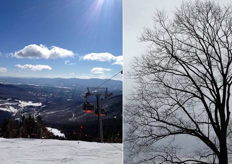 skiing & bare trees