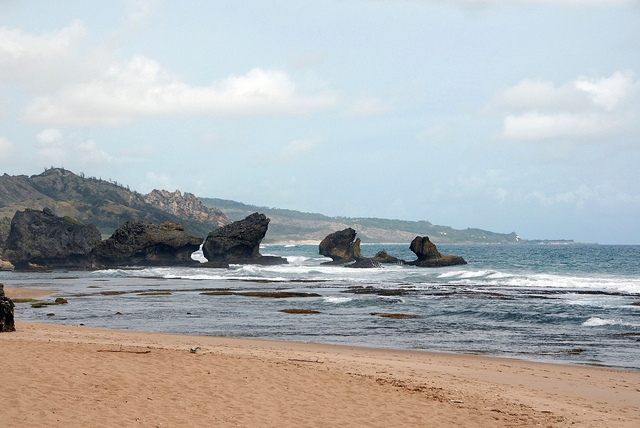 Barbados beach landscape "Frog Rock"
