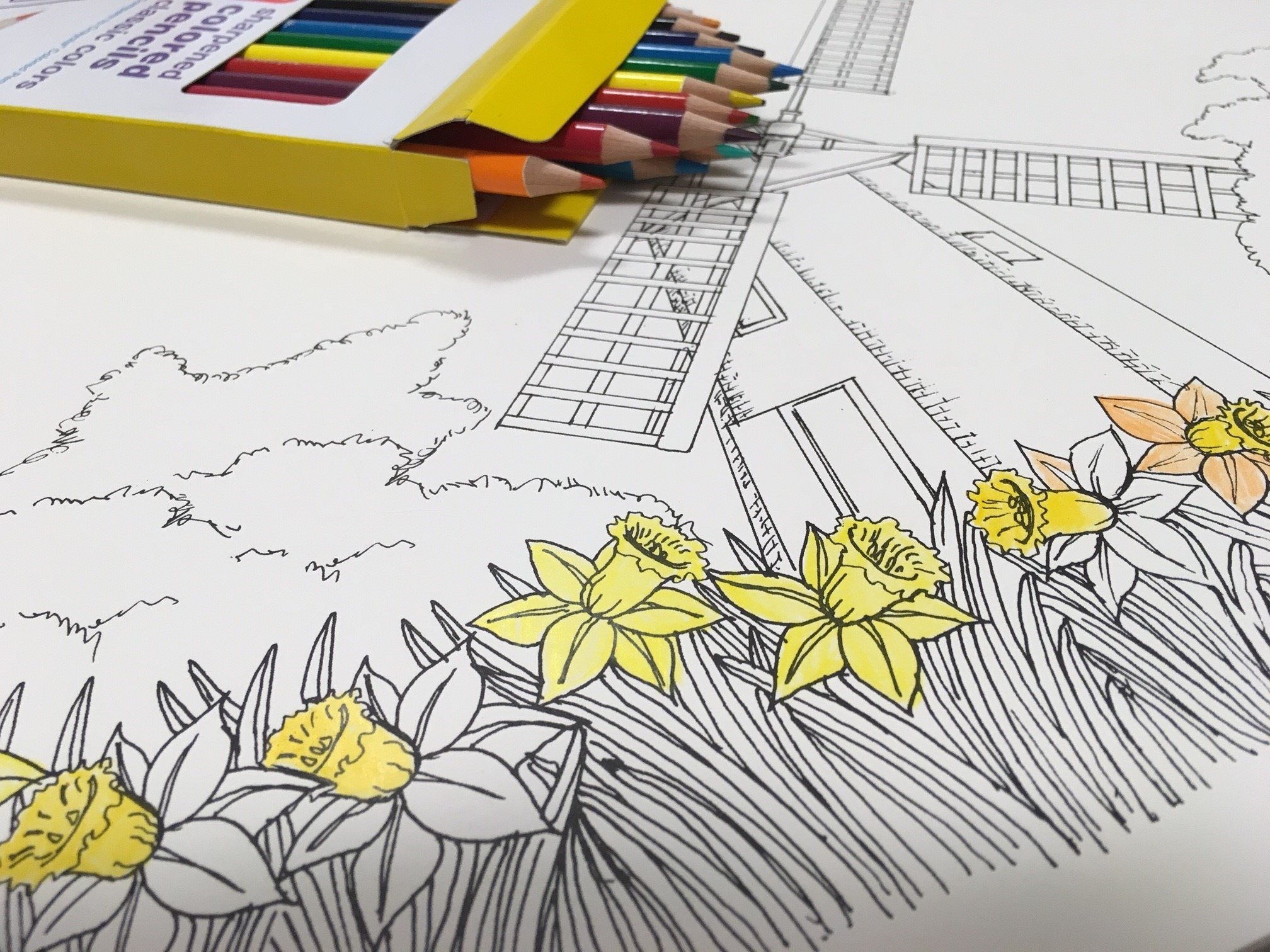 Coloring Book View coloring-book - My View from the Middle Seat