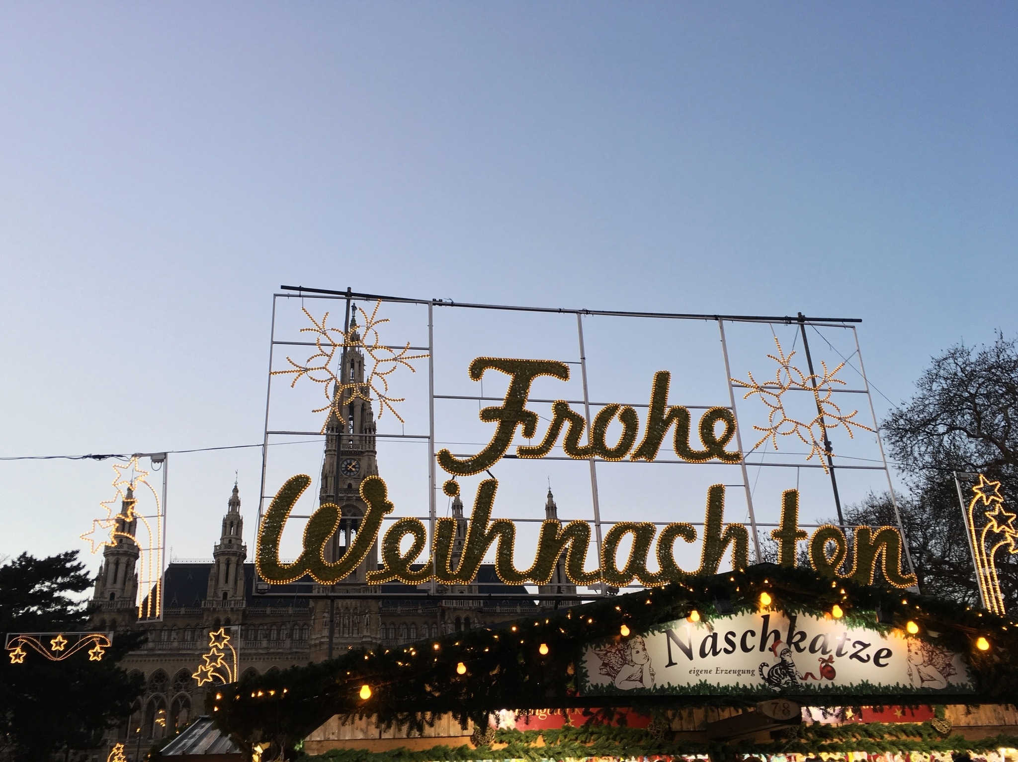 Waltzing Through Vienna at Christmas