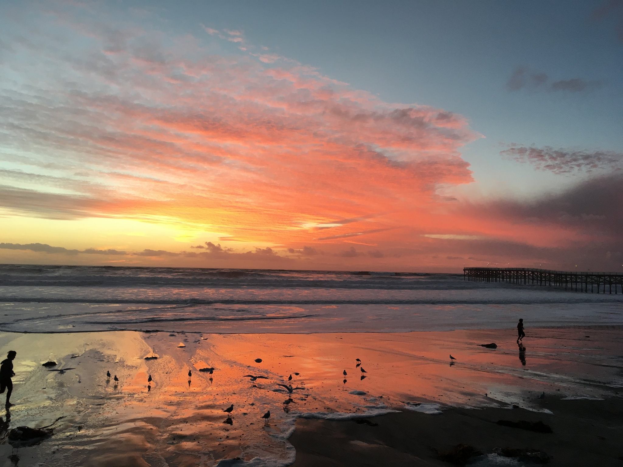 Hanging Out in Mission Beach, California