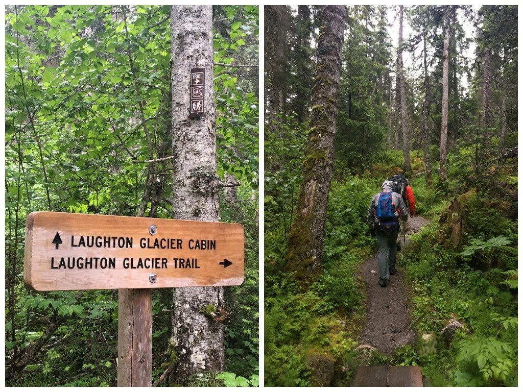Alaska forest hiking
